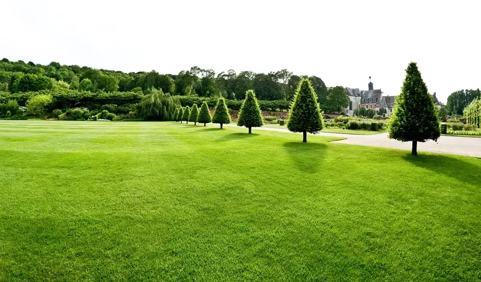 Entretien de jardins à CHATEAU-GONTIER-SUR-MAYENNE