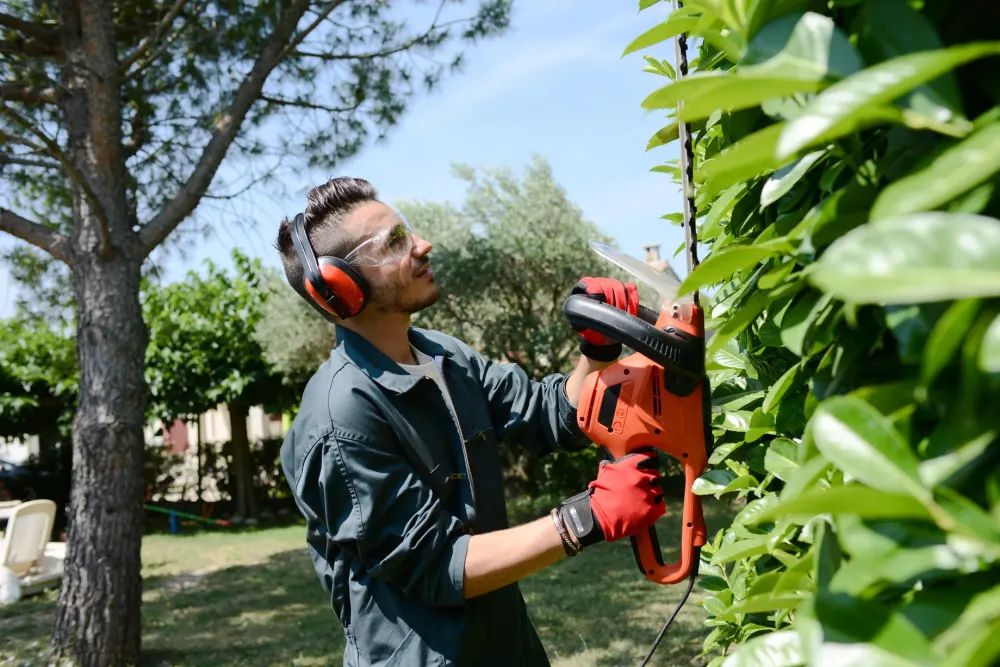 Services à la personne jardin à CHATEAU-GONTIER-SUR-MAYENNE